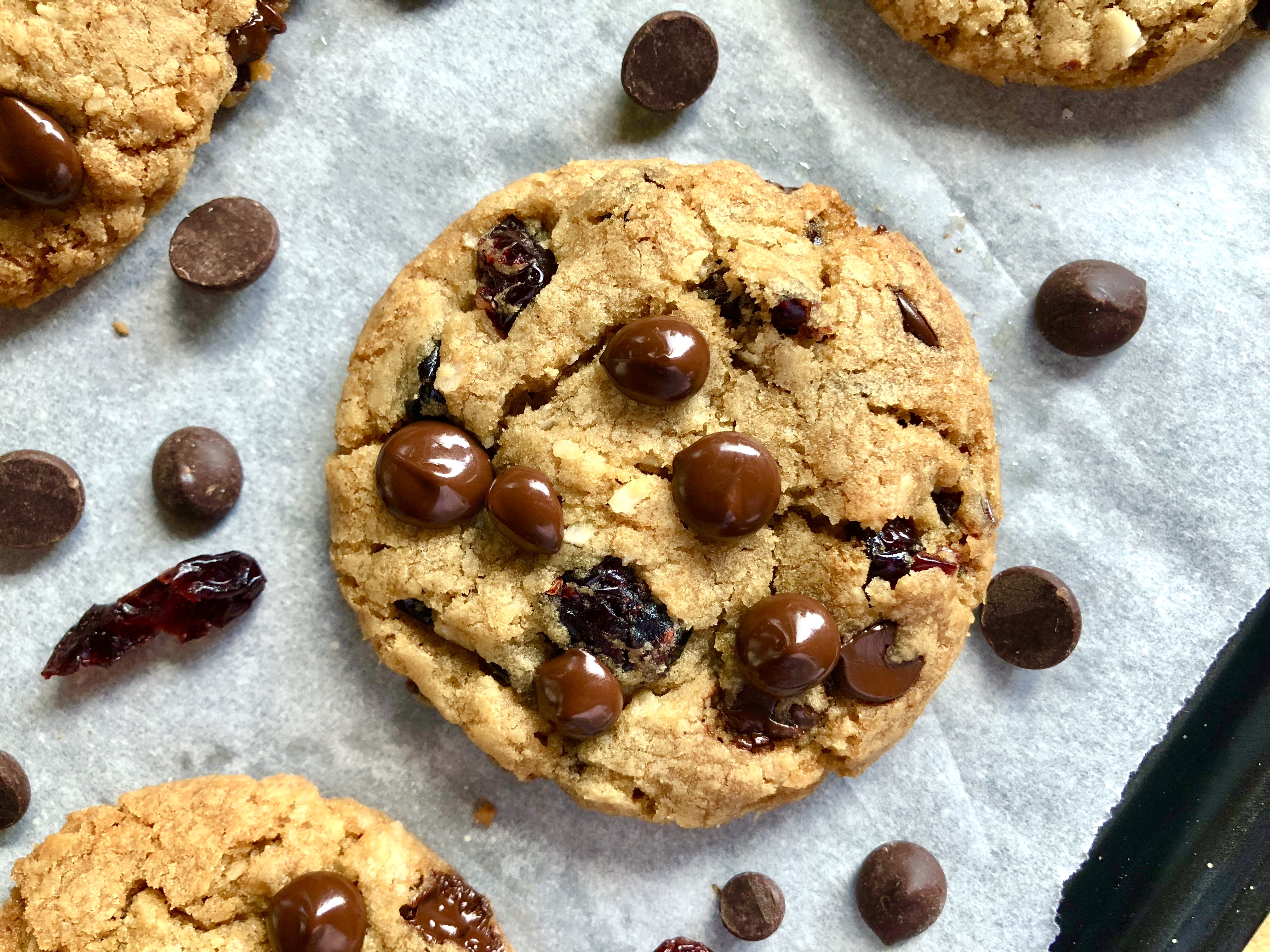 dairy free chocolate chip coconut cranberry cookies - Maverick Baking