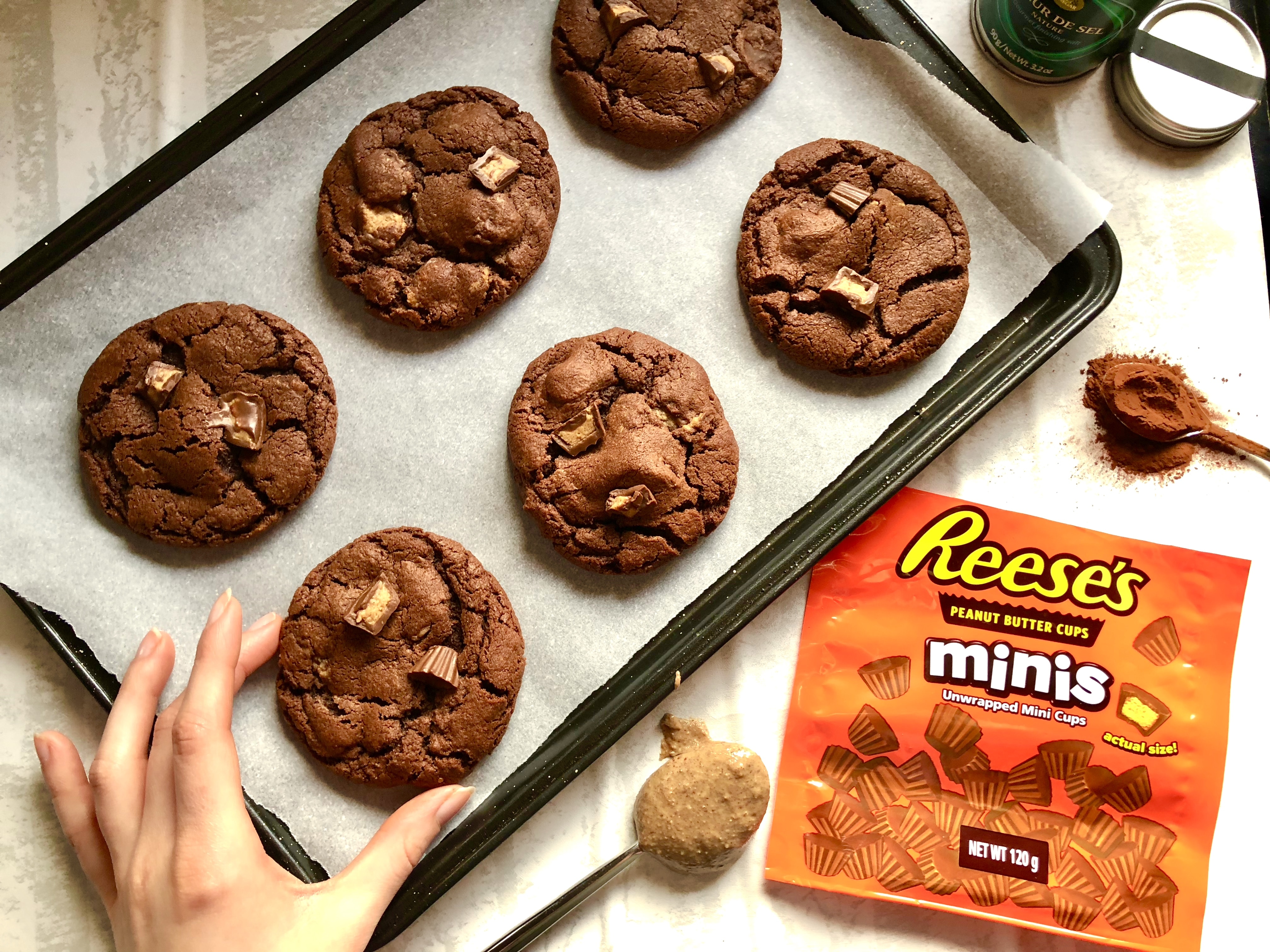 reese's chocolate peanut butter cup cookies