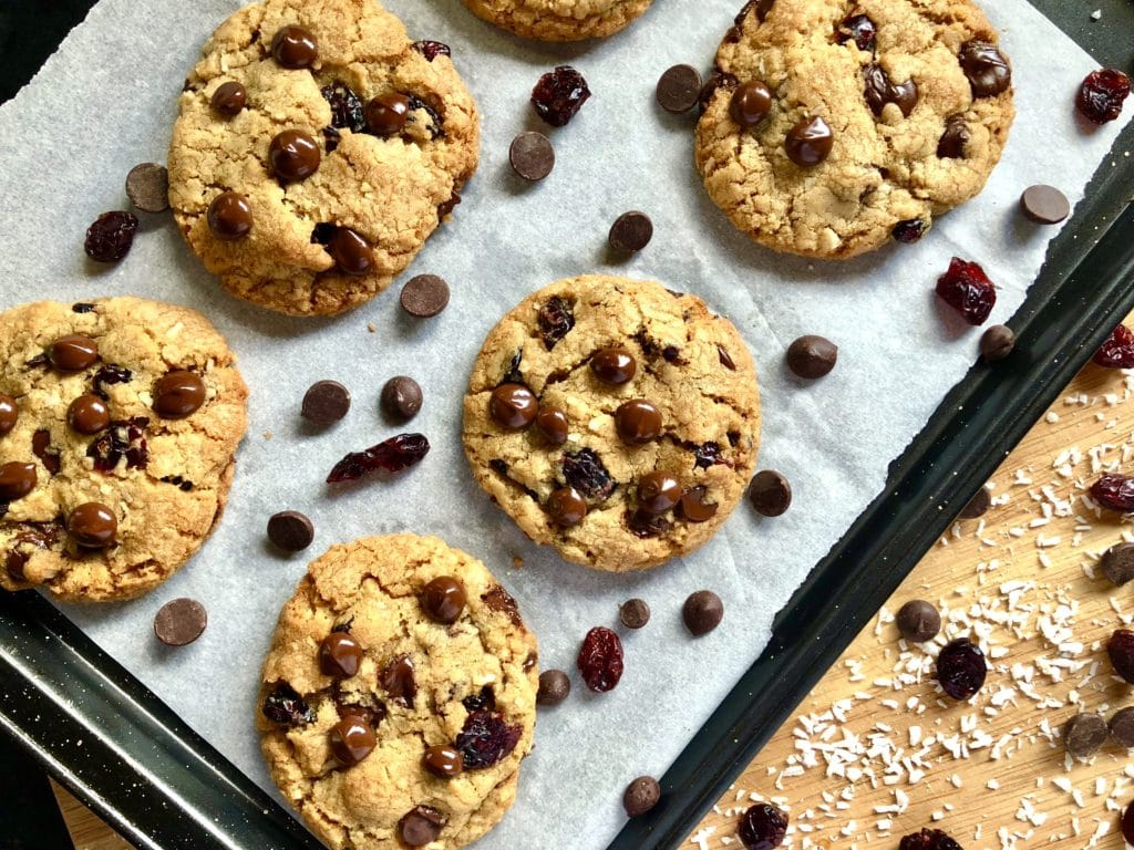 dairy free chocolate chip coconut cranberry cookies