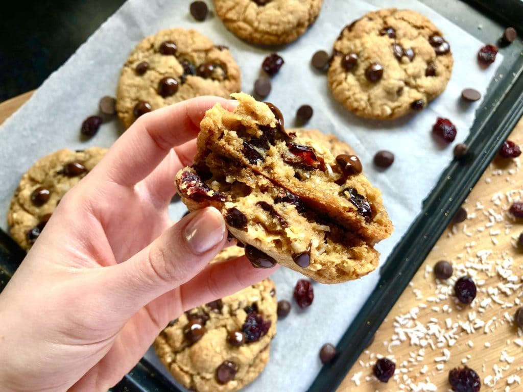 dairy free chocolate chip coconut cranberry cookies