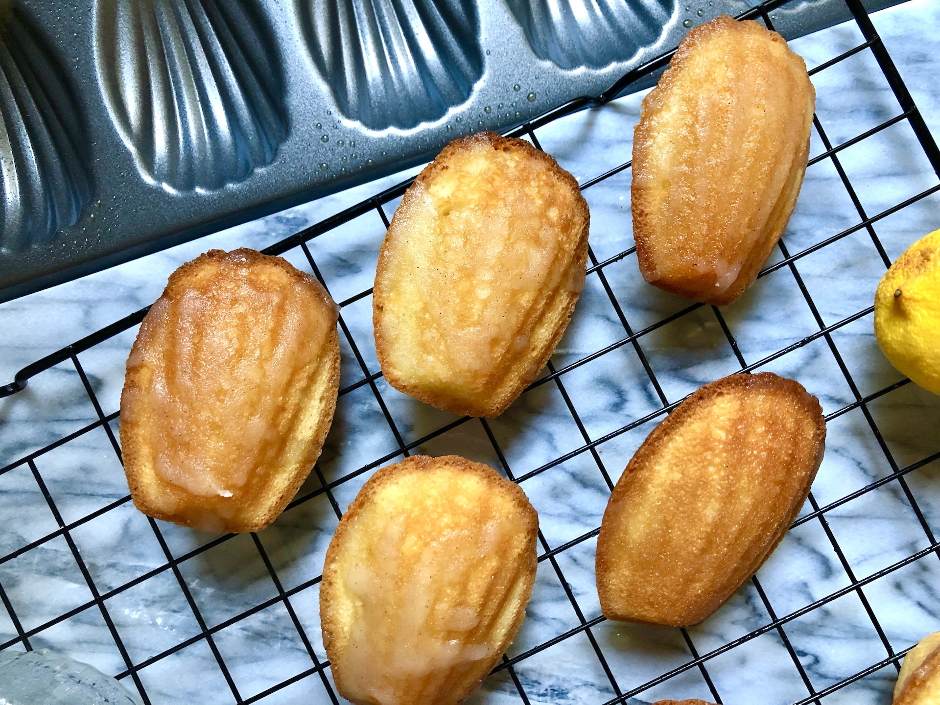 lemon madeleines – Maverick Baking