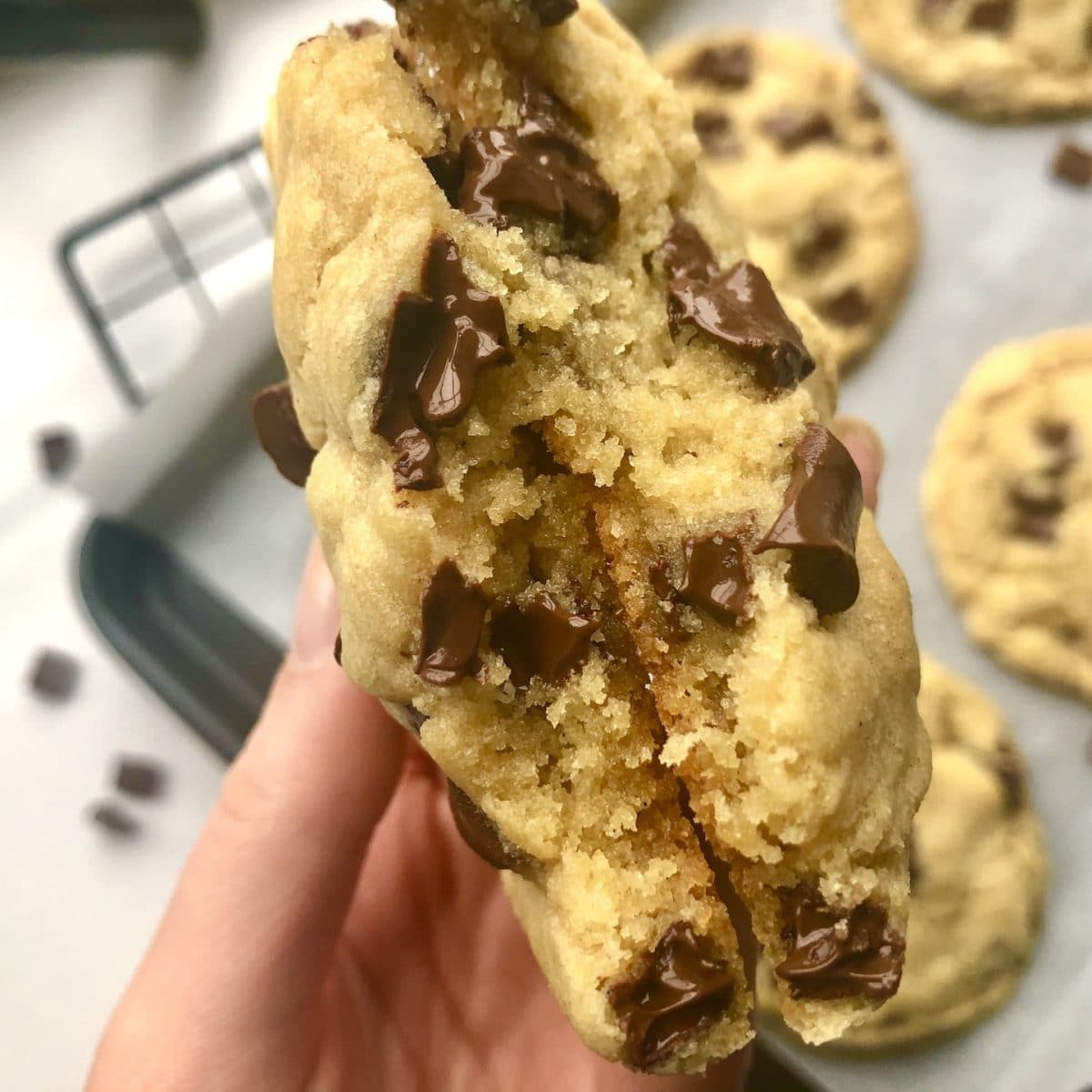 the best vegan chocolate chip cookies