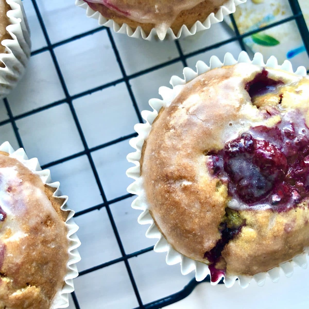 gut friendly raspberry vanilla muffins