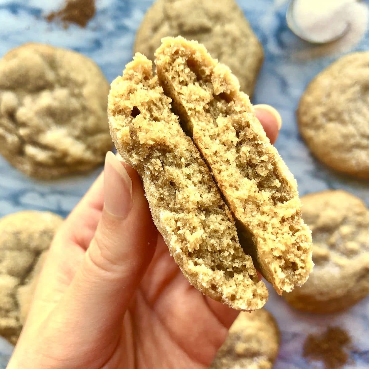 soft chewy cinnamon sugar cookies